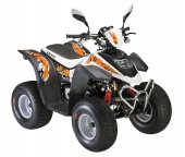 2010 Keeway ATV 50 photo